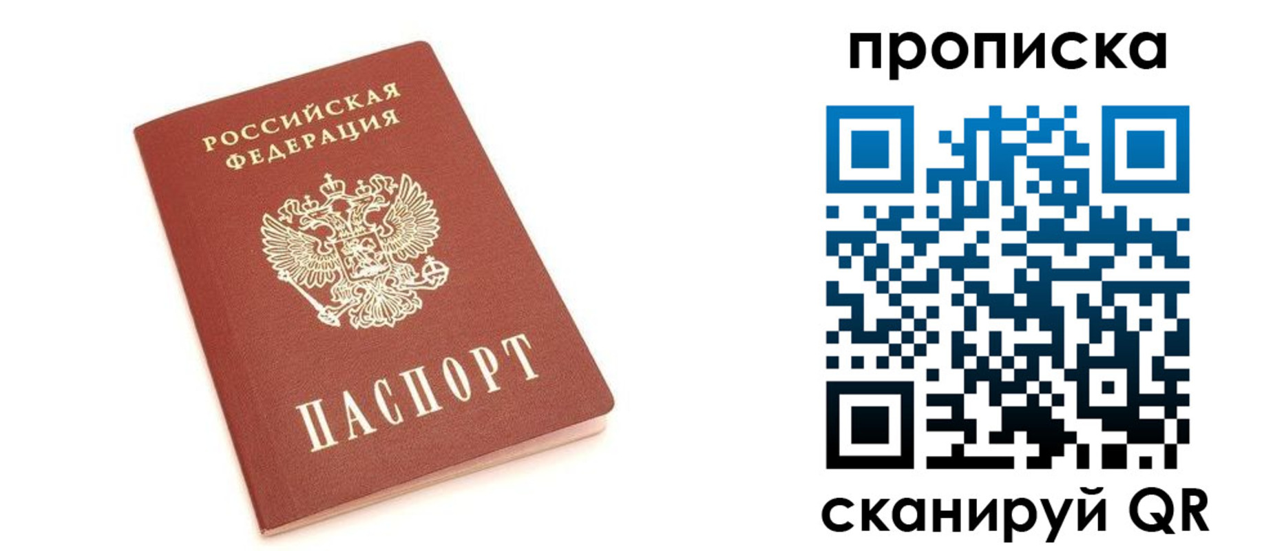 прописка в квартире в Сольцах